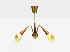 Swedish Modern Pendant Light Brass Wood Glass Sweden 1920s - 4462725