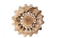 Swedish Neoclassical Giltwood Ceiling Roundel - 4139113