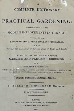 Sydenham Edwards Pair English Early 19th Century Framed Botanical Engravings - 4557153