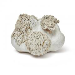TRISH DEMASI Large Pom 2021 - 4029571