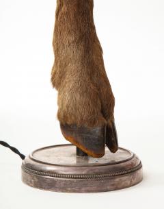 Table Lamp with Deer Hoof on Nickel Base - 1110517