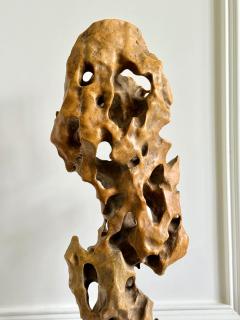 Tall Elegant Chinese Scholar Rock Yellow Taihu Stone on Wood Stand - 4560692