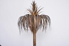 Tall Italian Hollywood Regency Palm shaped lamp in brass and wood with cabinet - 2695410