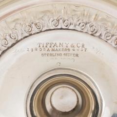 Tall Tiffany Sterling Silver Doubled Handled Side Handles Decorative Vase - 3624156
