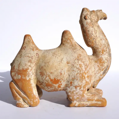 Tang Dynasty Bactrian Camel Sculpture - 3023388