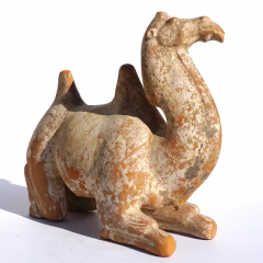Tang Dynasty Bactrian Camel Sculpture - 3023389