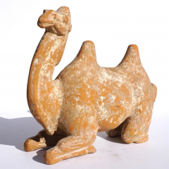 Tang Dynasty Bactrian Camel Sculpture - 3023390