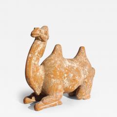 Tang Dynasty Bactrian Camel Sculpture - 3024939