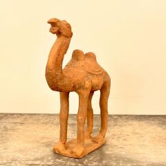 Tang Dynasty Camel China - 1556677