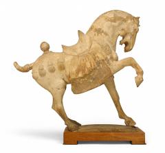 Tang Dynasty Clay Prancing Horse - 3209532