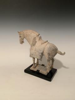 Tang Dynasty Horse - 1916388