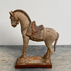 Tang Dynasty Horse China Circa 7th Century - 1580261