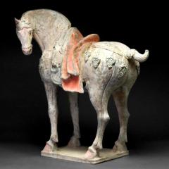 Tang Dynasty Large And Important Pottery Horse TL Tested - 3082595