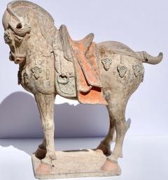 Tang Dynasty Large And Important Pottery Horse TL Tested - 3082597