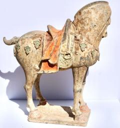 Tang Dynasty Large And Important Pottery Horse TL Tested - 3082599