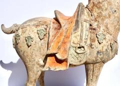 Tang Dynasty Large And Important Pottery Horse TL Tested - 3082601