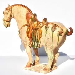 Tang Dynasty Sancai Glazed Pottery Horse - 3063093