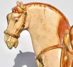 Tang Dynasty Sancai Glazed Pottery Horse - 3063094