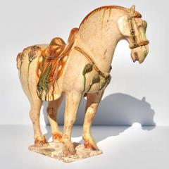 Tang Dynasty Sancai Glazed Pottery Horse - 3063095