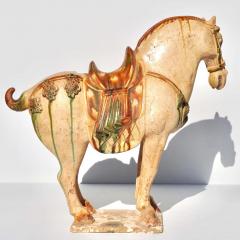 Tang Dynasty Sancai Glazed Pottery Horse - 3063096