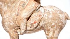 Tang Dynasty Terracotta Horse and Rider - 3078863