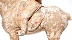 Tang Dynasty Terracotta Horse and Rider - 3309746