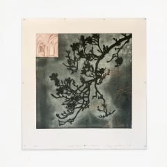 Tanja Softic Early Spring Bloom and Bomb 2003 - 4038951