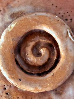 Tannyu Raku Japanese Painted Chawan Tea Bowl by Tannyu 10th Raku Edo Period - 4550424