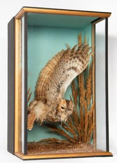 Tawny owl in flight - 4155475