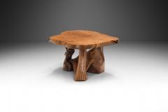 Teak Burl Wood Coffee Table Europe 1970s - 3465582