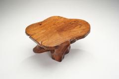 Teak Burl Wood Coffee Table Europe 1970s - 3465584