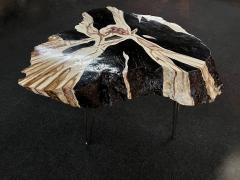 Teak Root Side Table Petrified Wood Style Handpainted By Artist IDN 2023 - 3615931