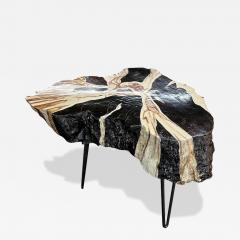 Teak Root Side Table Petrified Wood Style Handpainted By Artist IDN 2023 - 3616326