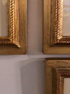 Ten Copperplate Engravings in Gilt Frames by Benjamin Maund Judy Cormier Framed - 2942833