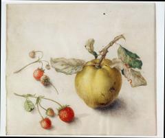 Teresa Berenice Vitelli A Peach with Two Strawberry Vines - 154095