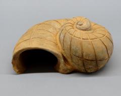 Terracotta Snail form Garden Ornaments - 2638557