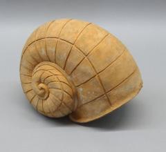 Terracotta Snail form Garden Ornaments - 2638559