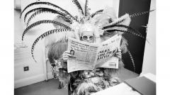 Terry O Neill Elton John Newspaper - 3992959