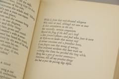 The Collected Poems Plays of W B Yeats - 1105568