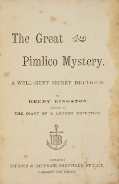 The Great Pimlico Mystery - 2719763