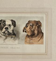 The Three Graces England circa 1920 - 3481317