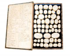 Three Volume Set Of Grand Tour Intaglios From Francesco Carnesecchi - 4611723