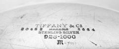 Tiffany Modern Georgian Classical Sterling Silver Bowl - 4337145
