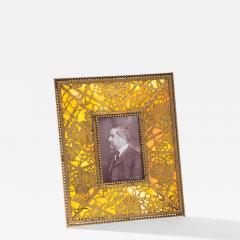 Tiffany Studios Grapevine Picture Frame - 4716341