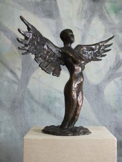 Tim Rawlins Eagle Contemporary Bronze Sculpture - 1757250