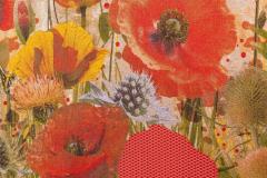 Tjitske Storm Tjitske Storm Tall Poppy NL 2024 - 4037336