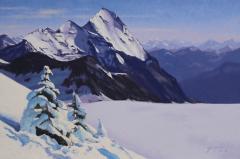 Todd Lachance In The Icefields - 3565629