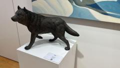 Tom Hjorleifson Alpha - 4484334