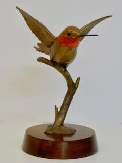Tom Hjorleifson Rufous Hummingbird - 4516059
