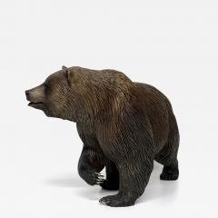 Tom Hjorleifson Skoki Grizzly Bear - 3683348